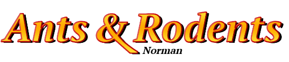 Norman Ant Exterminator & Rodent Control Company Logo